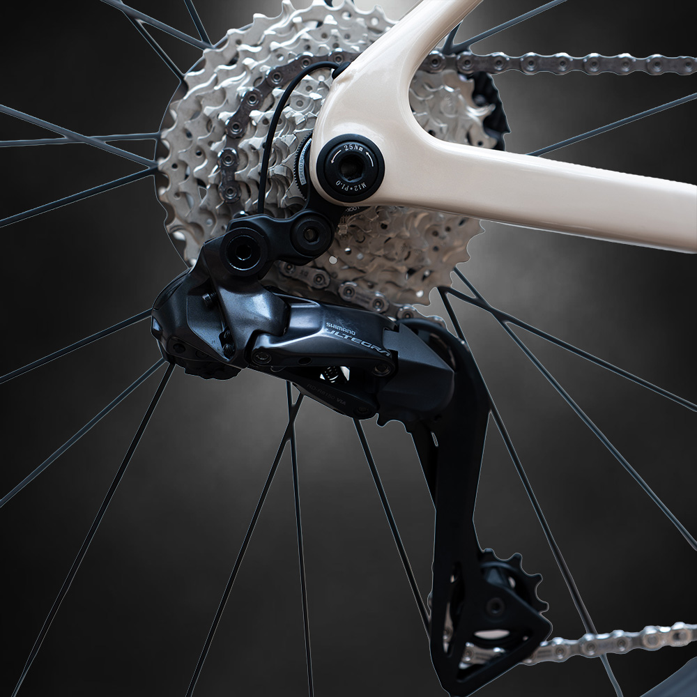 Electronic Groupset Detail